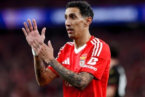 AC Milan Sports-今晚托特纳姆调整名单：葡超节点到来，态度坚定，心理建设被强调的简单介绍-AC Milan Sports